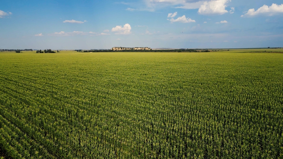0 Bedroom Property for Sale in Hennenman Rural Free State